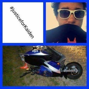 Meet your Posher, Cheyenne